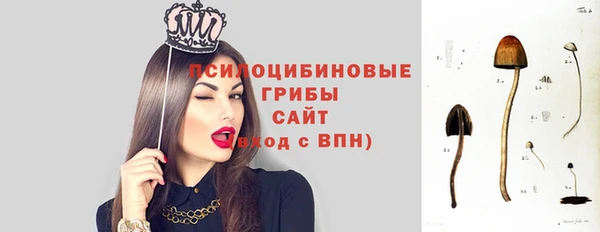 мдпв Магадан