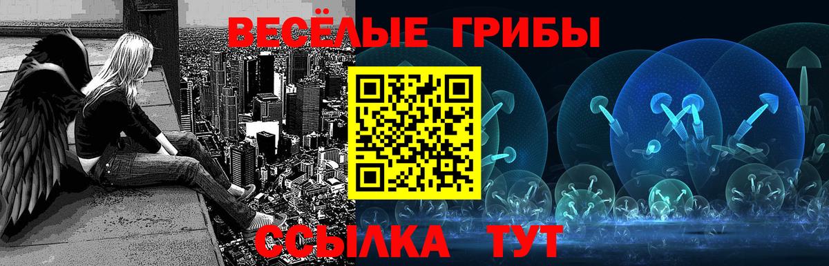 Черняховск  Галлюциногенные грибы ЛСД  Вход с VPN  Галлюциногенные грибы Magic Shrooms 