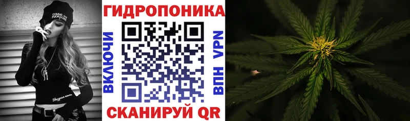 kraken как зайти  Черняховск  Марихуана семена 